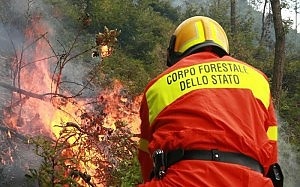 Giornata calda, in fumo ettari di terreno