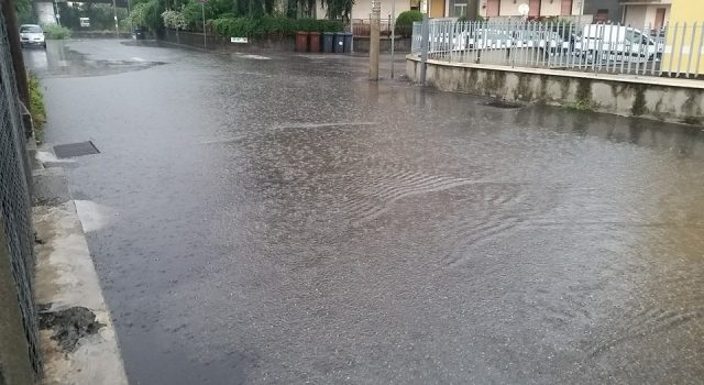 Maltempo in provincia, il punto FOTOGALLERY