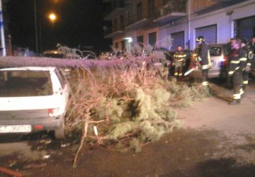 Giarre, forti raffiche di vento nella notte: albero cade sopra due auto in sosta