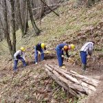 Operai forestali senza stipendio da giugno