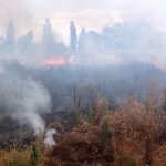 Riposto e Giarre incendi in terreni incolti