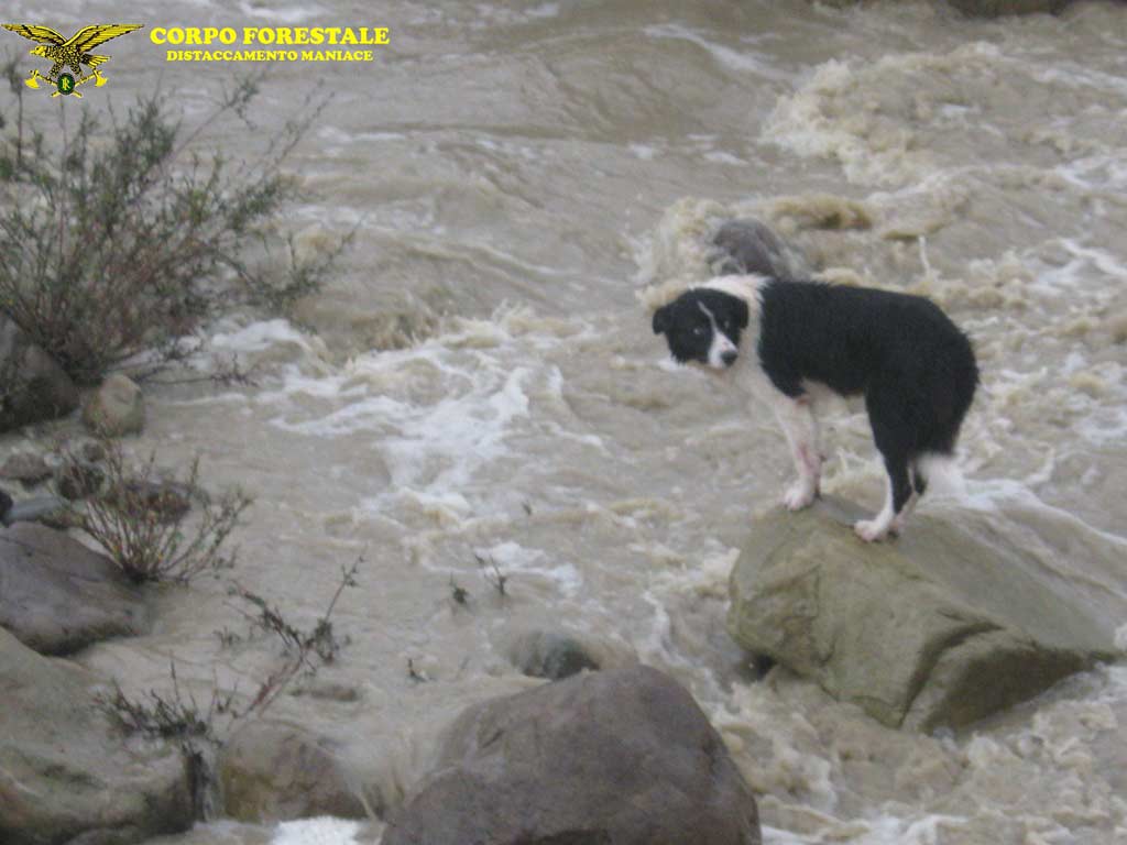 Allerta Meteo: la situazione a Randazzo e Maniace