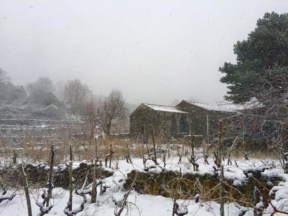 Emergenza neve scuole chiuse a S.Alfio. Il sindaco Nicotra: lasciati soli