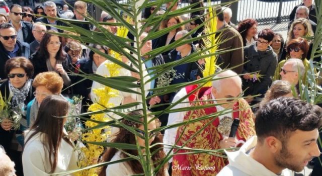 Giarre, nello splendore del Duomo la prima domenica delle palme dopo la riapertura FOTOGALLERY