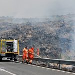 Lavoratori forestali ancora al verde