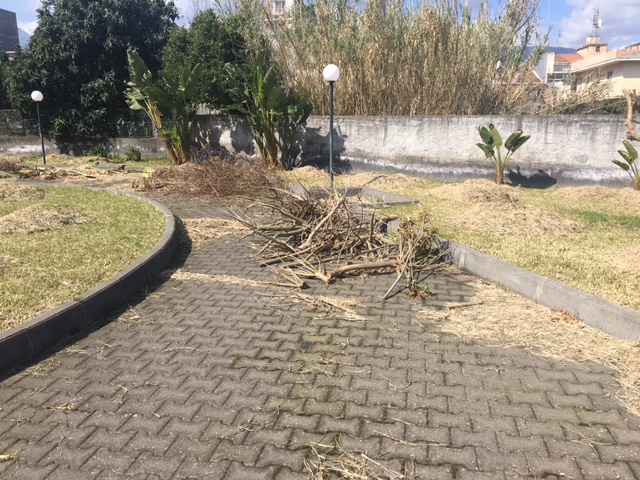 Giarre aree a verde sommerse da sfalci di potature non rimossi