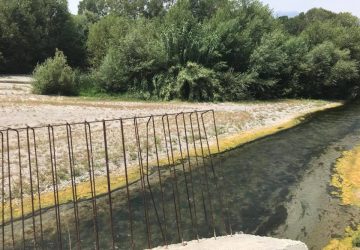 Blitz di Goletta Verde alla foce dell'Alcantara: livelli di inquinamento altissimi FOTO