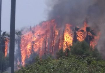 Giarre e Riposto: inferno di fuoco per un duplice incendio. Intervento dei VVF e Forestale VIDEO