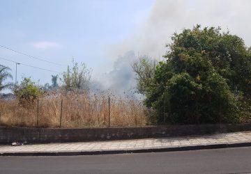 Riposto, incendio in un limoneto di via Carbonaro. Fuoco a ridosso delle abitazioni