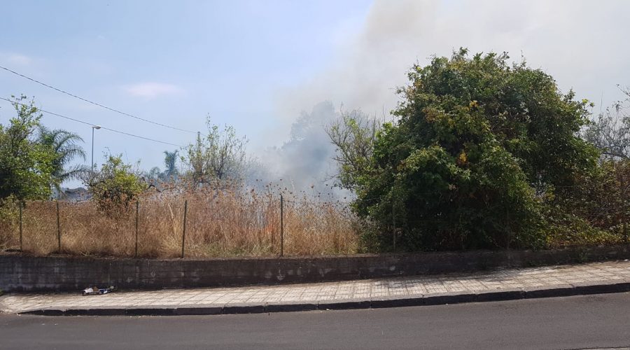 Riposto, incendio in un limoneto di via Carbonaro. Fuoco a ridosso delle abitazioni