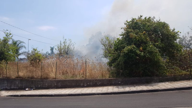 Riposto, incendio in un limoneto di via Carbonaro. Fuoco a ridosso delle abitazioni