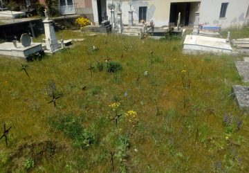 Puntalazzo: erbacce e buio al cimitero, via Umberto dissestata