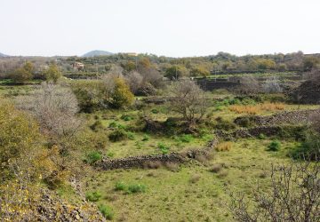 Belpasso, il Tar da ragione al Comune: no al parco commerciale alle “Torrette”