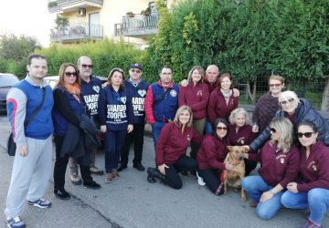 Mascali: la storia della cagnolina Stella, dell'uomo buono e di quello, purtroppo, ignorante