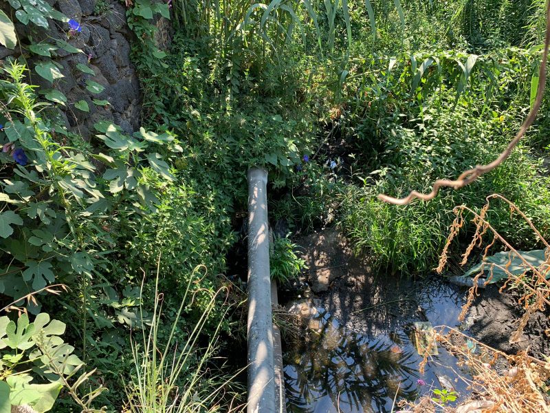 Santa Maria la Strada in emergenza: liquami nel torrente, carenza idrica e sterpaglie  VIDEO