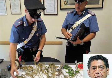 Mascali, beccato con 20 piante di canapa indiana: arrestato un 51enne