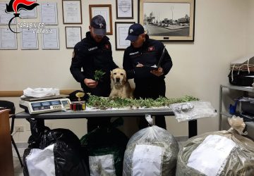 Mascali, carabinieri scovano a Santa Venera 25 chili di marijuana e 40 piante: fermato un 37enne