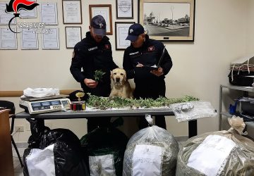 Mascali, 25 chili di marijuana pura e non light: porte del carcere aperte per un 37enne