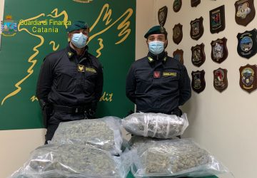 Sequestrati 8 kg di marijuana ad alto potenziale: un arresto