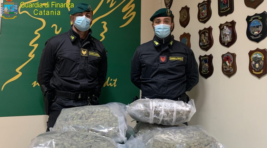 Sequestrati 8 kg di marijuana ad alto potenziale: un arresto