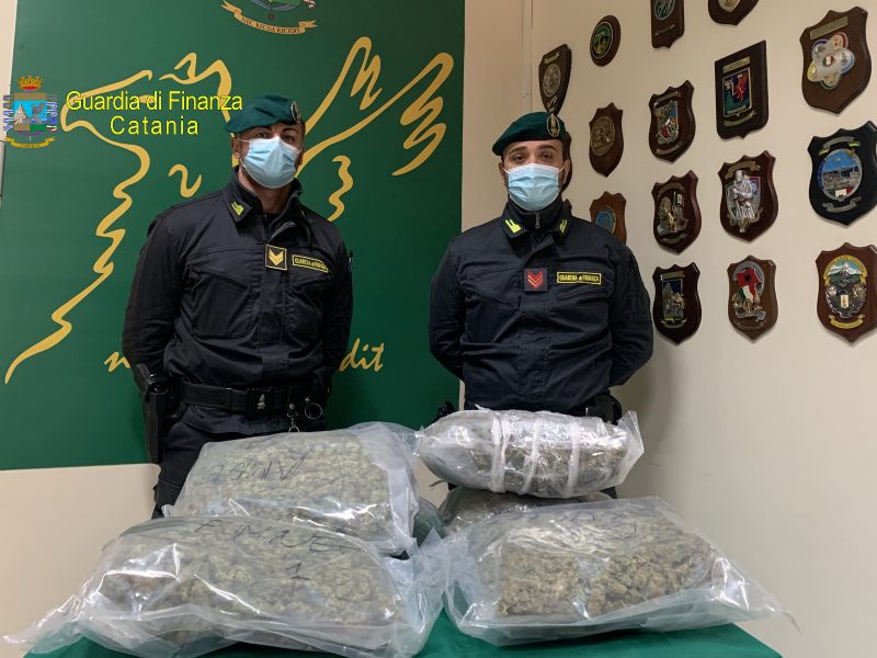 Sequestrati 8 kg di marijuana ad alto potenziale: un arresto