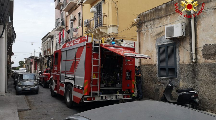 Incendio in un’abitazione: vigili del fuoco salvano il bassotto Oscar