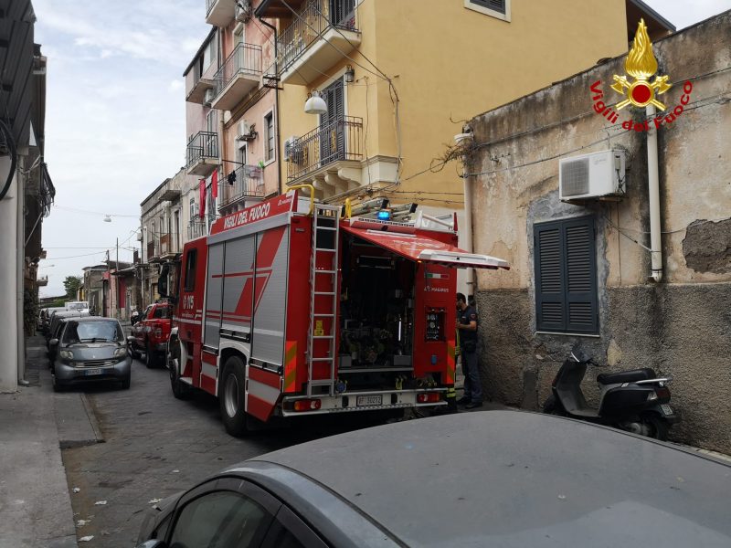 Incendio in un’abitazione: vigili del fuoco salvano il bassotto Oscar