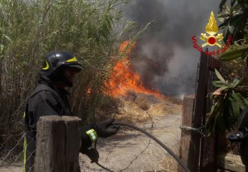 Vigili del fuoco, numerosi roghi a Catania e provincia