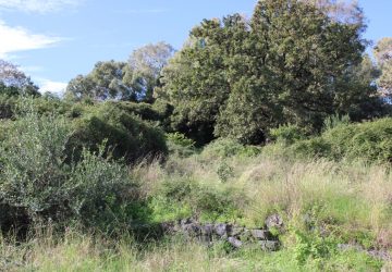 Capo Mulini, il sito storico e naturalistico della Gazzena