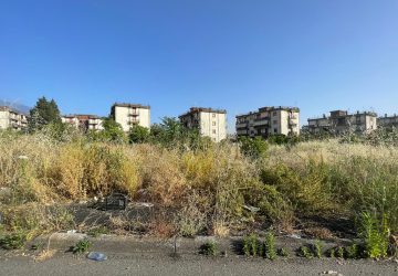 Giarre, operazione Jungo, chiuso il processo di secondo grado: le sentenze