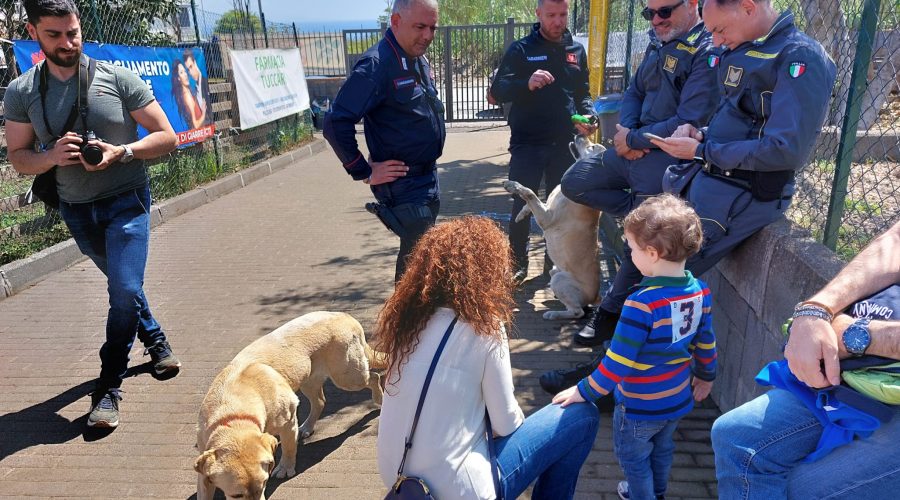 Giarre, a Trepunti “I bambini incontrano i cani”. Cane carabiniere trova droga VD