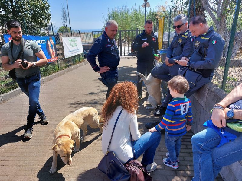 Giarre, a Trepunti “I bambini incontrano i cani”. Cane carabiniere trova droga VD