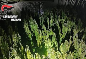 Abitazione in fiamme: a scatenare il rogo un corto circuito alla serra di marijuana. Arrestato 24enne VD