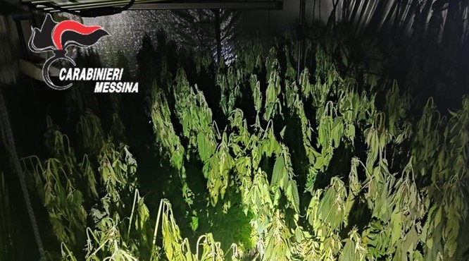 Abitazione in fiamme: a scatenare il rogo un corto circuito alla serra di marijuana. Arrestato 24enne VD