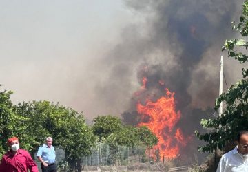 Vasto incendio in contrada Mirto. Un altro incendio divampa in via Salvatore Patti a Riposto VIDEO