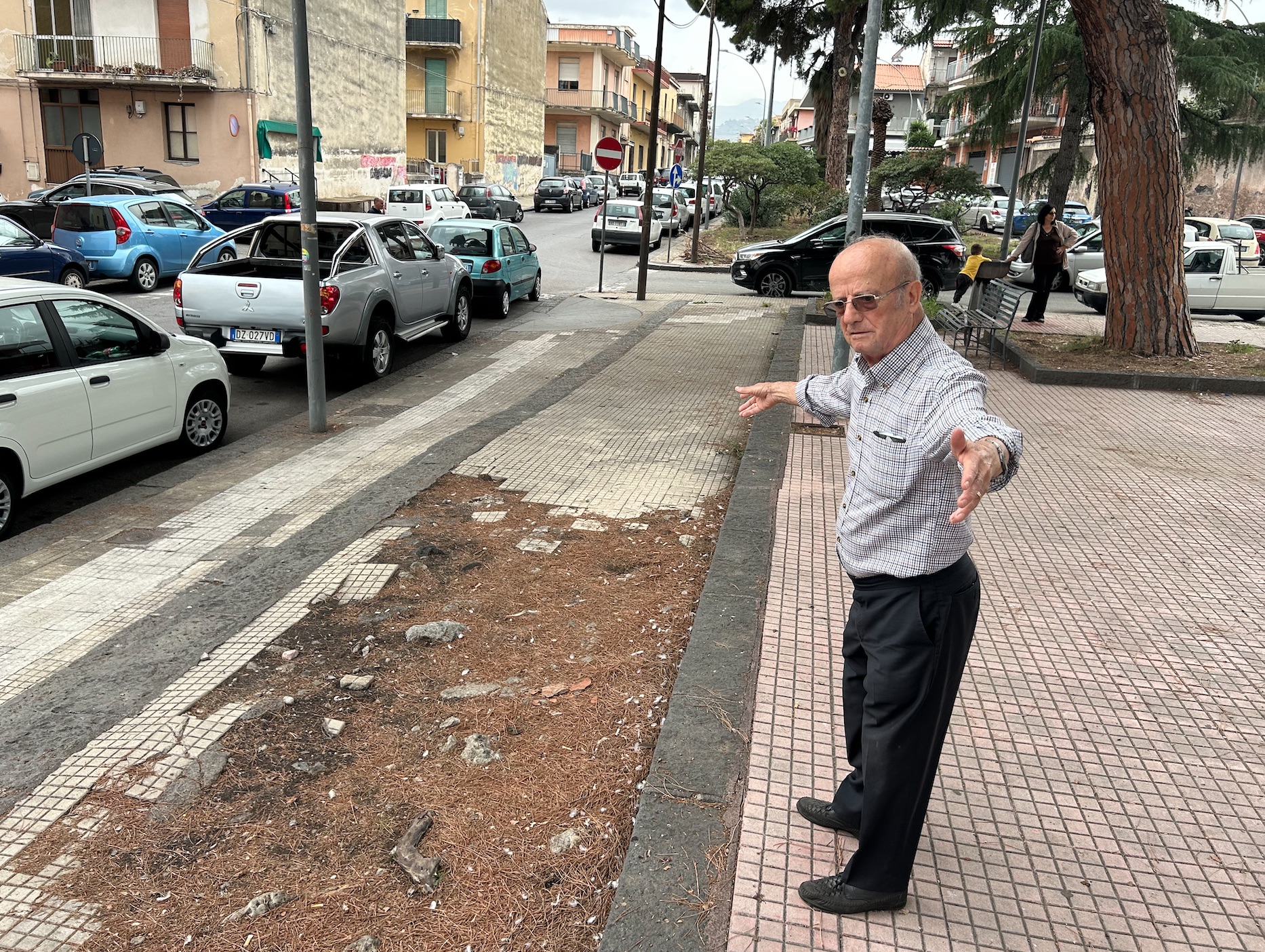 Giarre, manto deformato dalle radici in via Gravina, i residenti lanciano l’allarme VD