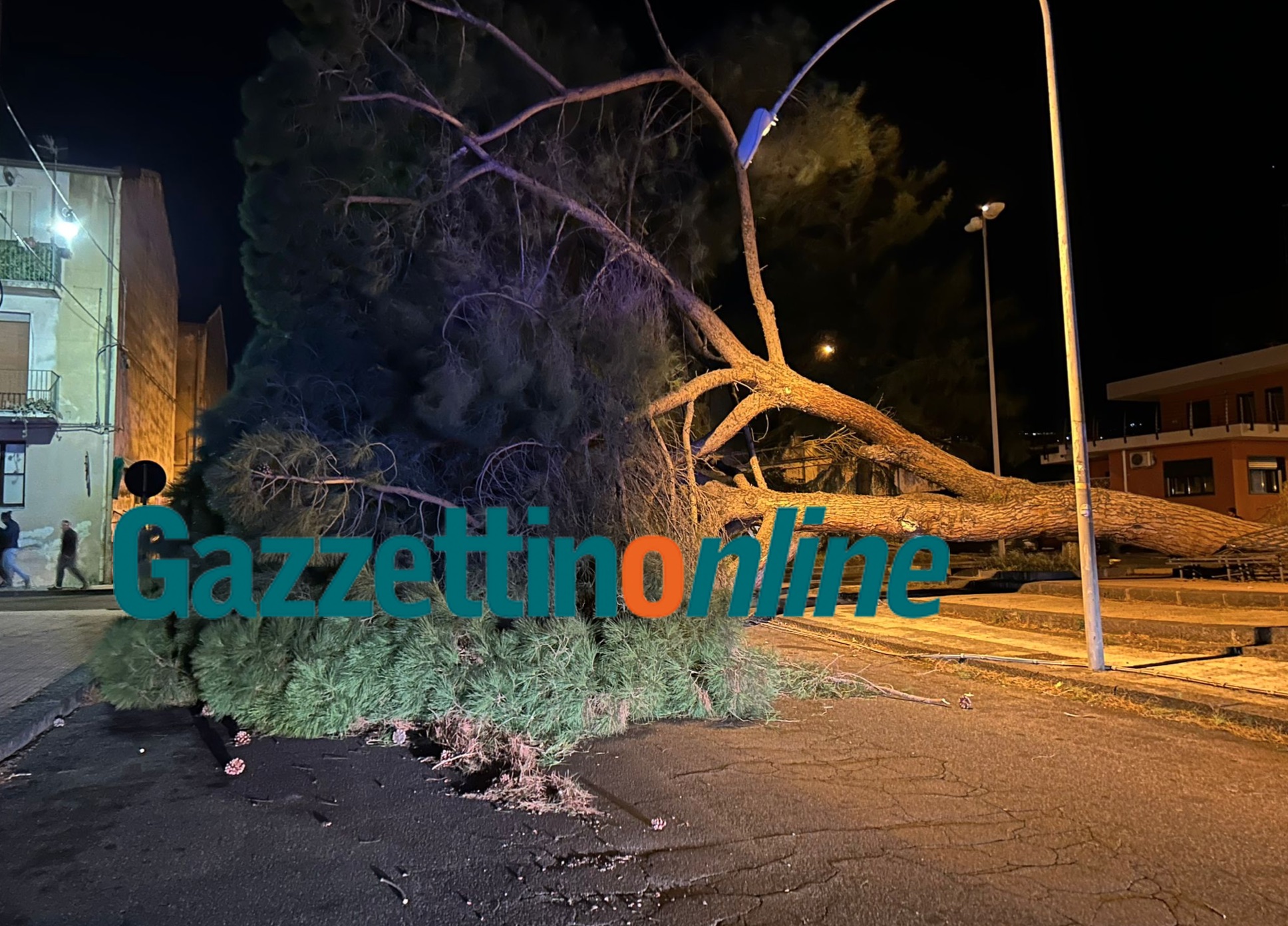 Giarre, forti raffiche di vento. Crolla pino in corso Sicilia. Chiuso un tratto di Statale a Santa Maria la Strada VD