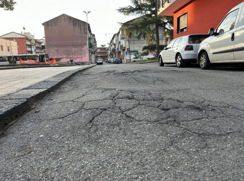 Giarre, troppe strade dissestate dalle radici degli alberi: è allarme