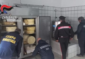 Controllo ad un caseificio abusivo. Sequestrata l’attività e denunciate due persone