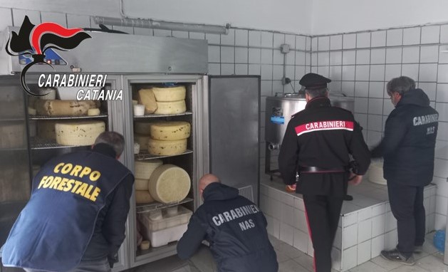 Controllo ad un caseificio abusivo. Sequestrata l’attività e denunciate due persone