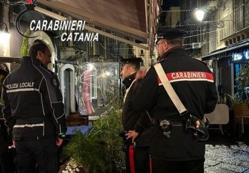 Controlli serrati dei Carabinieri per la “sicurezza del cittadino”. Un denunciato, in giro con una mannaia.