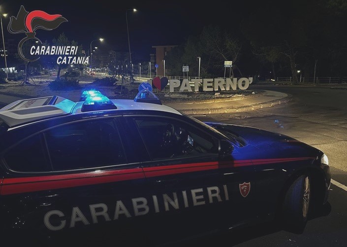 Tenta il “cavallo di ritorno” ma ad attenderlo ci sono i Carabinieri