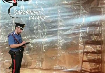 I Carabinieri scoprono una serra e un laboratorio per il confezionamento della droga