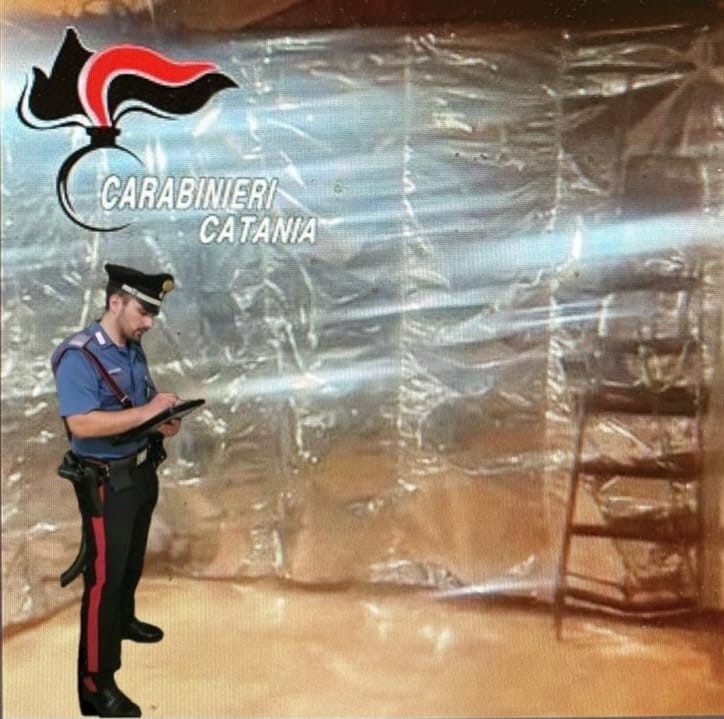 I Carabinieri scoprono una serra e un laboratorio per il confezionamento della droga