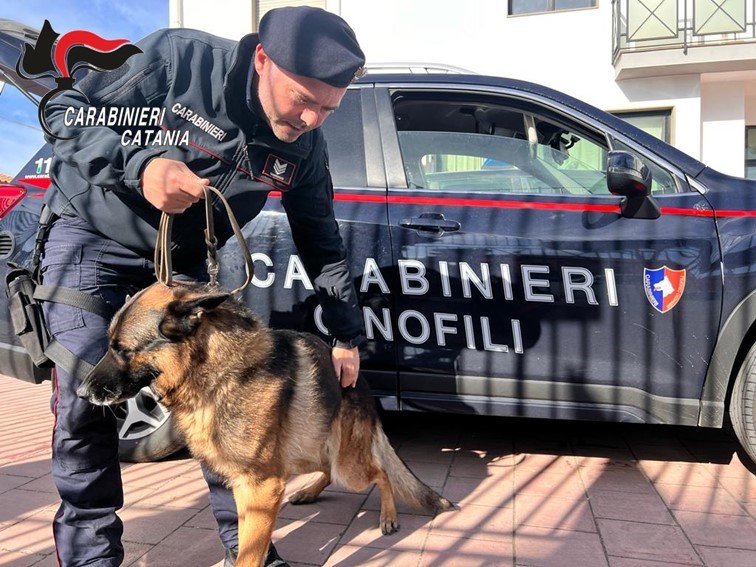 Controllo presso Comunità di accoglienza, i cani dell’Arma fiutano della marijuana