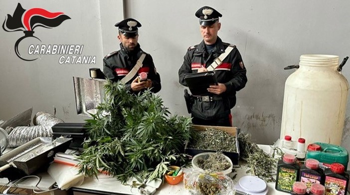 I Carabinieri trovano una serra di marijuana in una casa in disuso