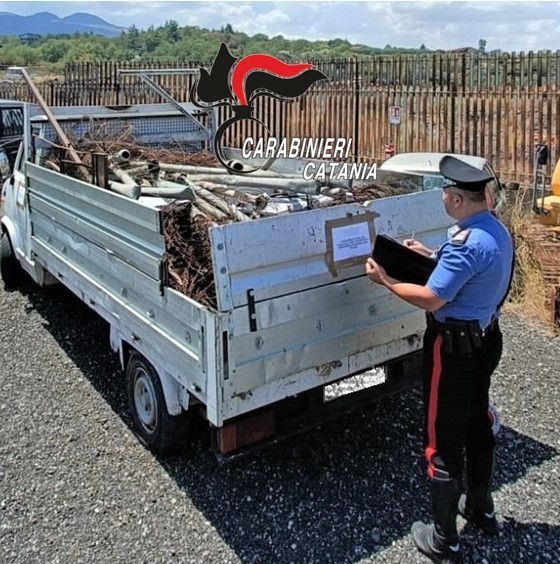 Contrasto ai reati ambientali: un denunciato dai Carabinieri