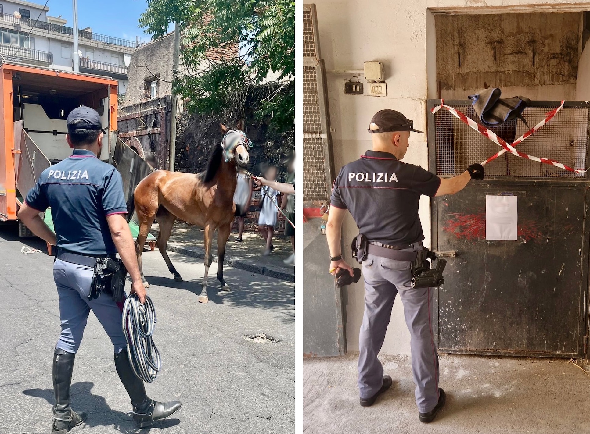 Controlli a tappeto a San Cristoforo: nel mirino stalle e attività commerciali