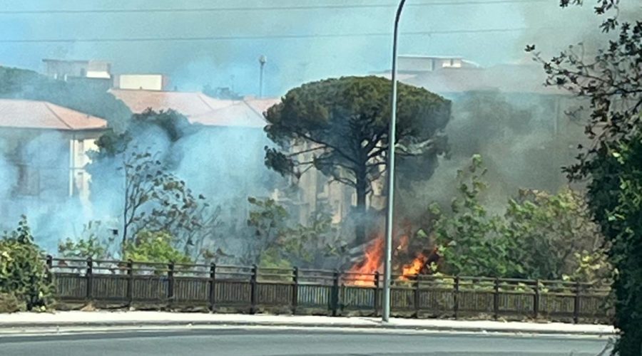 Giarre, rione Satellite: a fuoco l’area a verde del torrente Macchia