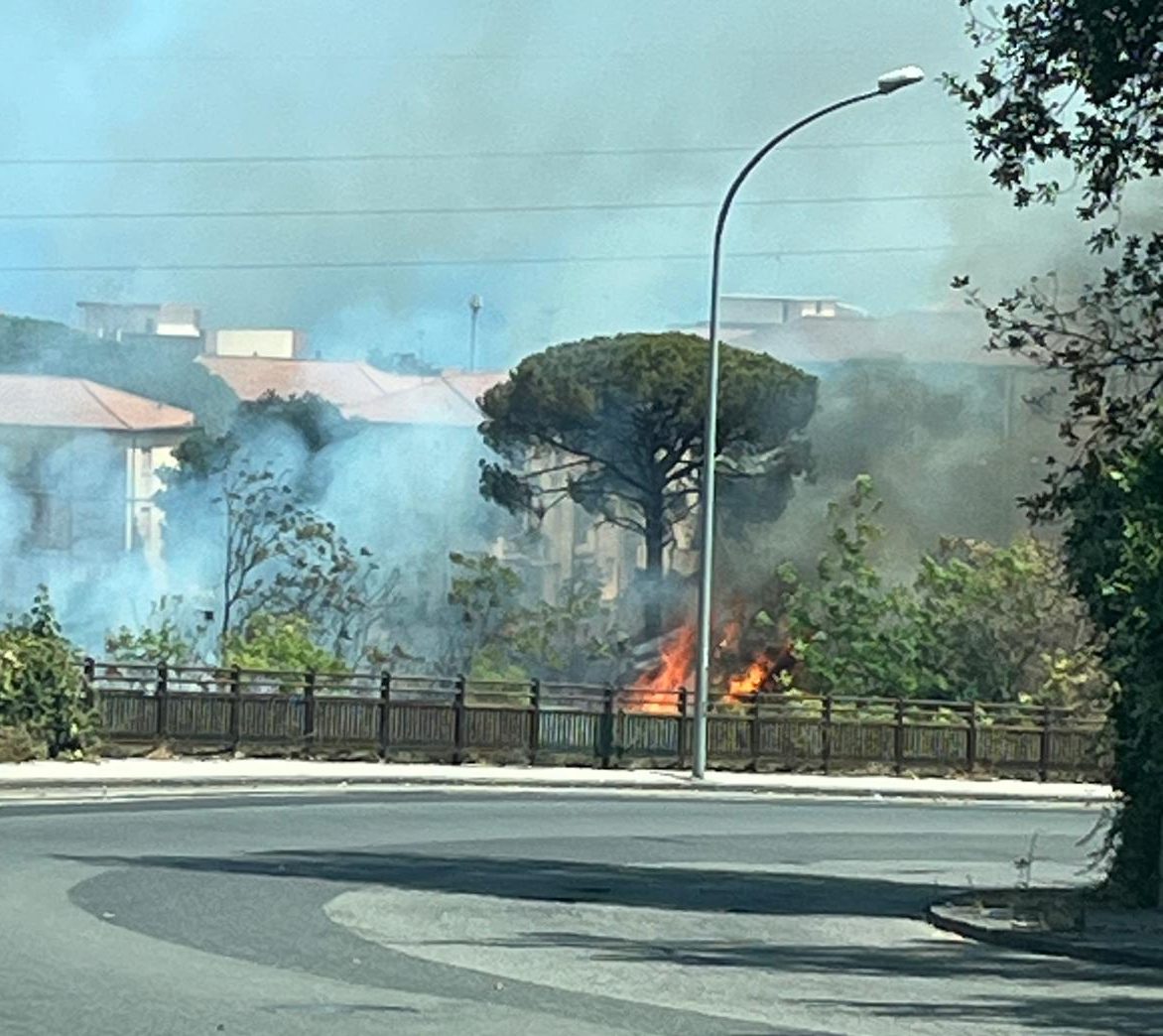 Giarre, rione Satellite: a fuoco l’area a verde del torrente Macchia